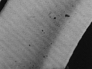 S8100376