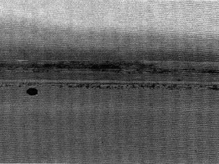S8100378