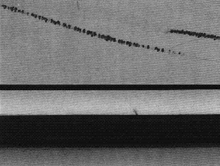 S8100386