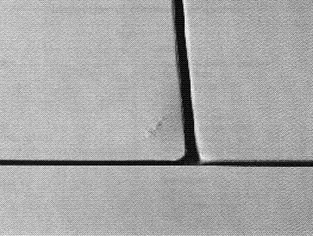 S8100390