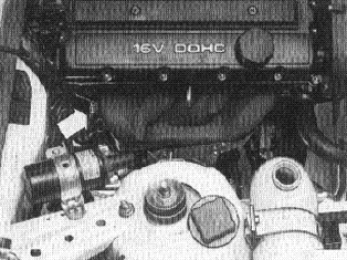S146206