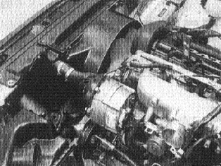 S146217