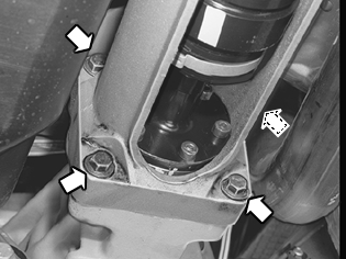 S4301869