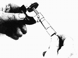 S119744