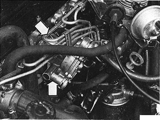 S137019