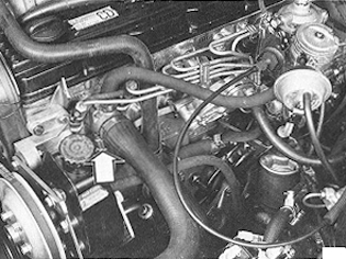 S137031