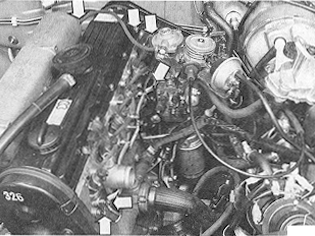 S137034
