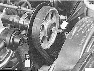 S137036
