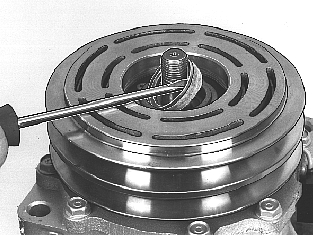 S8701062