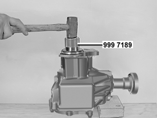 S4304056