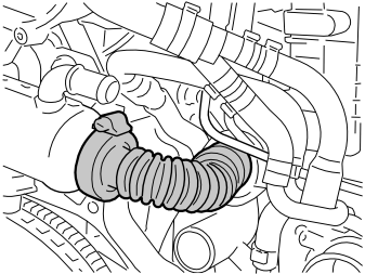 IMG-215352