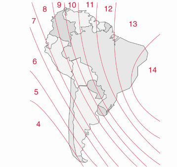 IMG-234871