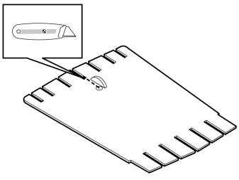 IMG-244091