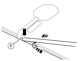 IMG-246843