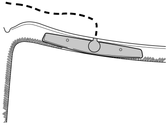 IMG-249091