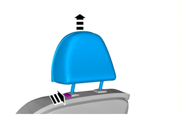 IMG-253348