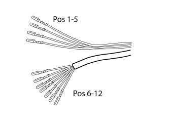 IMG-262954