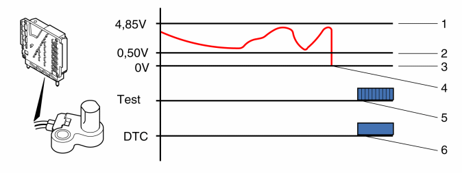 IMG-266008