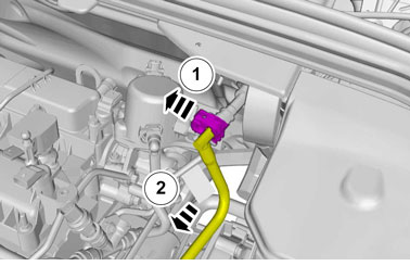 IMG-334633