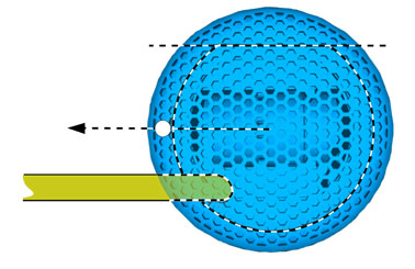 IMG-335610