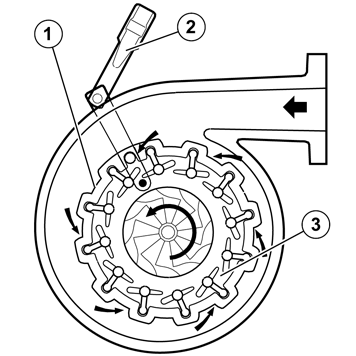 IMG-336636