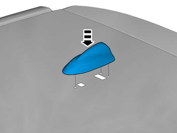 IMG-337226