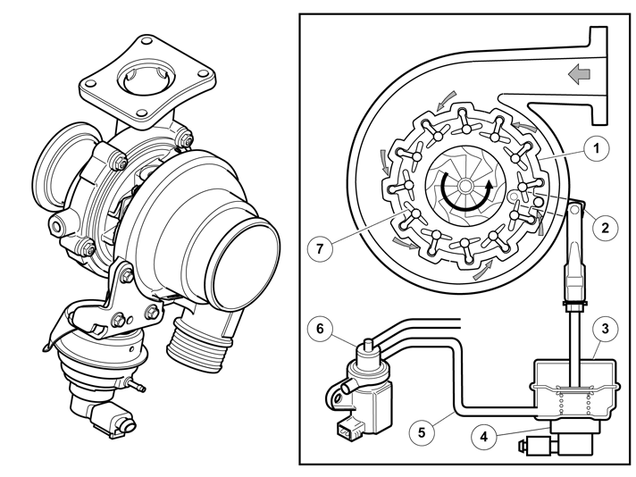 IMG-344871