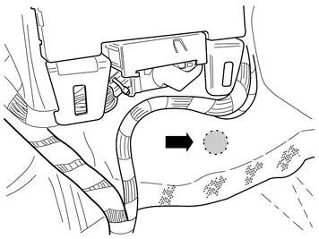 IMG-345916