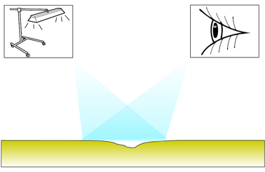 IMG-354374