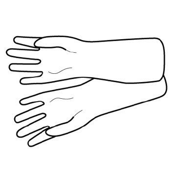 IMG-356755